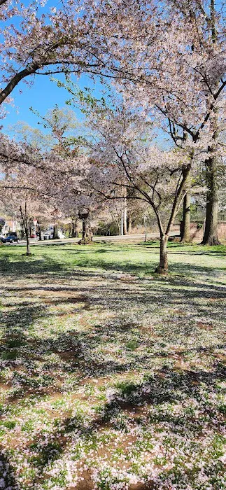 Branch Brook Lower Section Picture 1