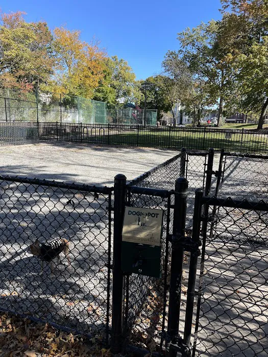 Leonard Dog Park Picture 4