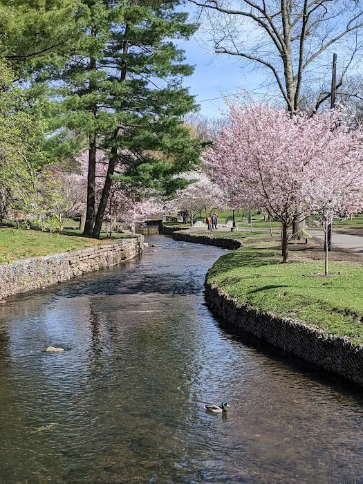 Memorial Park Picture 3