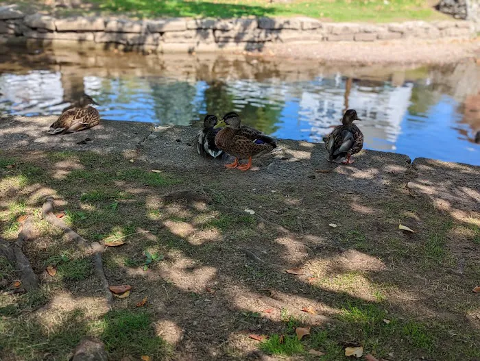 Memorial Park Picture 8