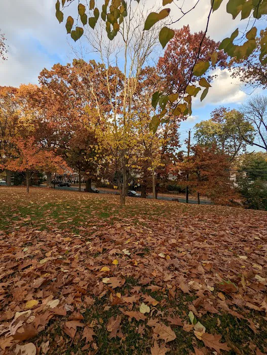 Yanticaw Park Picture 8