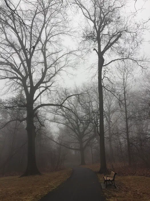 Brookdale Park Picture 7