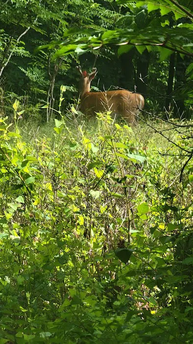 Brookdale Park Picture 1