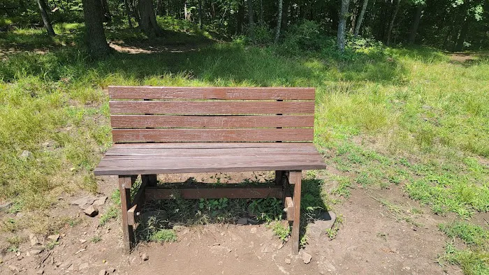 Brookdale Park Picture 3
