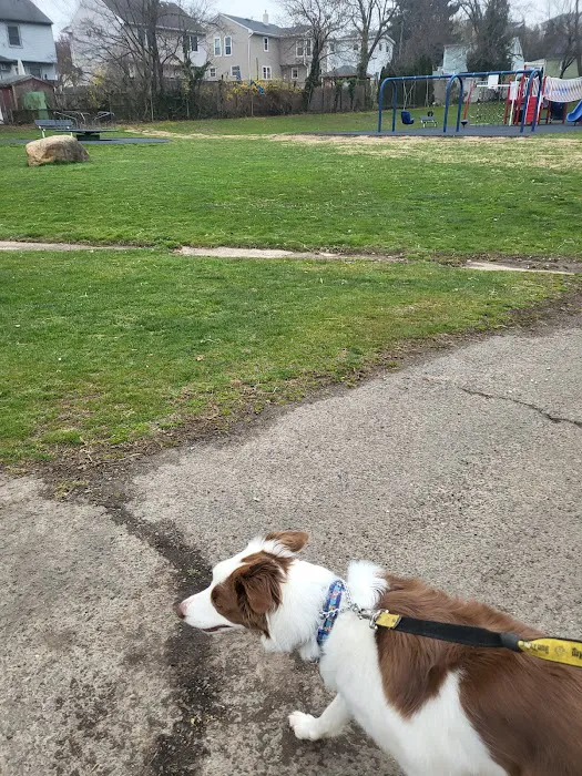 Dudiak Park Picture 3