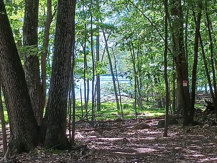 Rifle Camp Park Picture 5