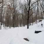 Rifle Camp Park