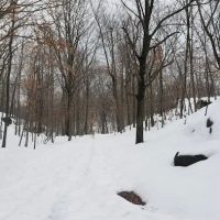 Rifle Camp Park ico