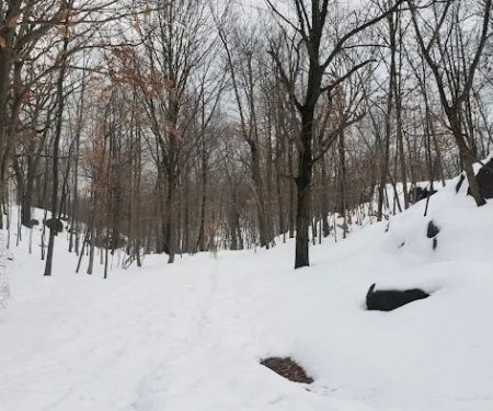 Rifle Camp Park