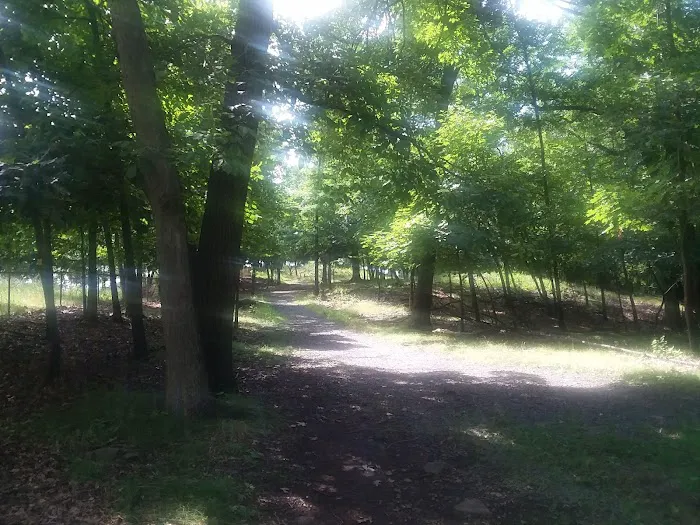 Rifle Camp Park Picture 3