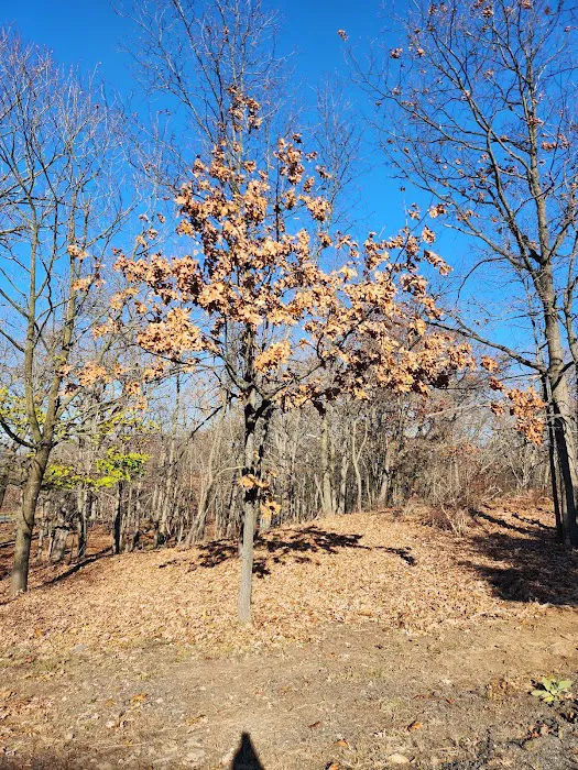 Rifle Camp Park Picture 9