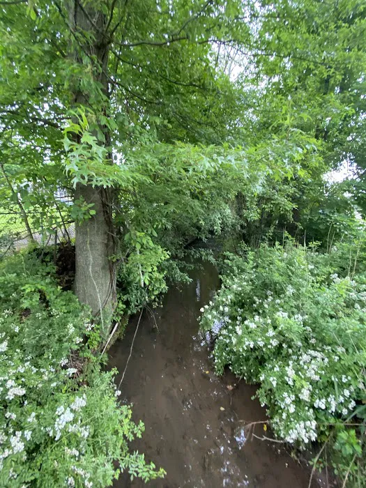 Surgent Park Picture 4