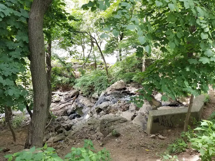 Thomas E May Memorial Park Picture 7