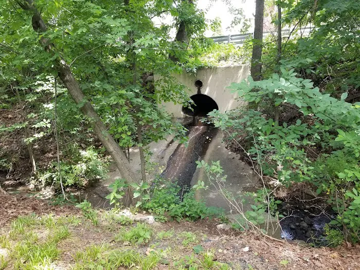 Thomas E May Memorial Park Picture 9