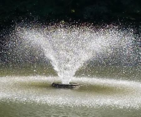 Lake Montowac