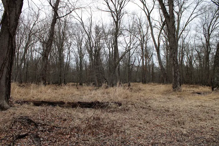 Great Piece Meadows Picture 3