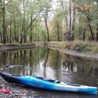 Great Piece Meadows ico