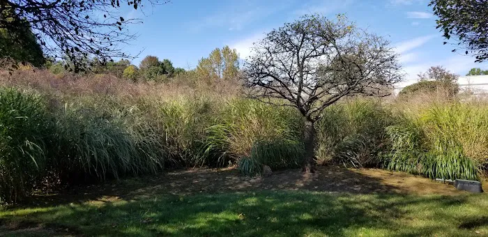 Mita Park Picture 5