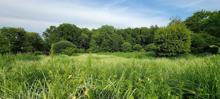 Mita Park Picture 1
