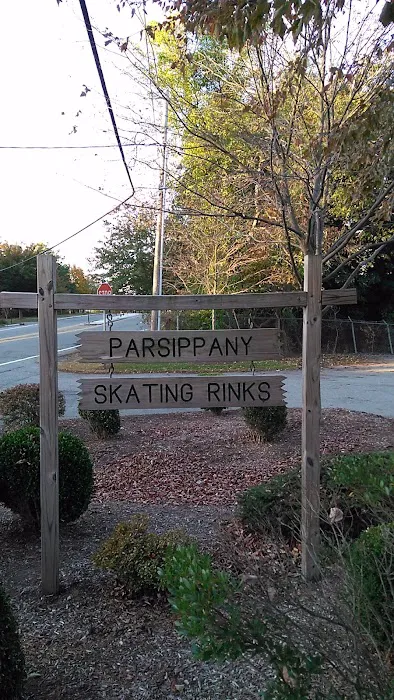 Parsippany Roller Hockey Park Picture 6