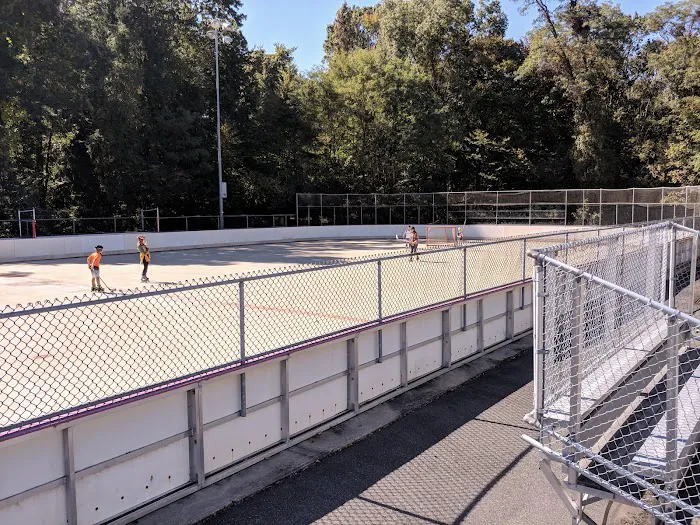 Parsippany Roller Hockey Park Picture 9