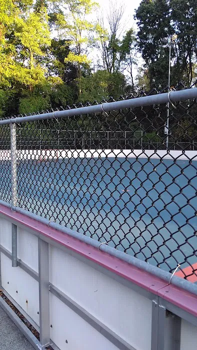 Parsippany Roller Hockey Park Picture 2