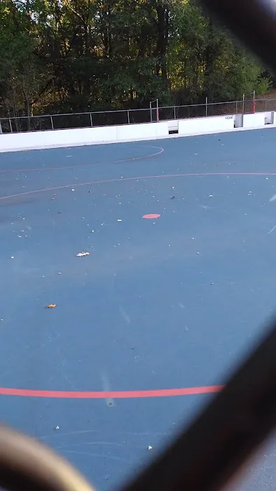 Parsippany Roller Hockey Park Picture 4