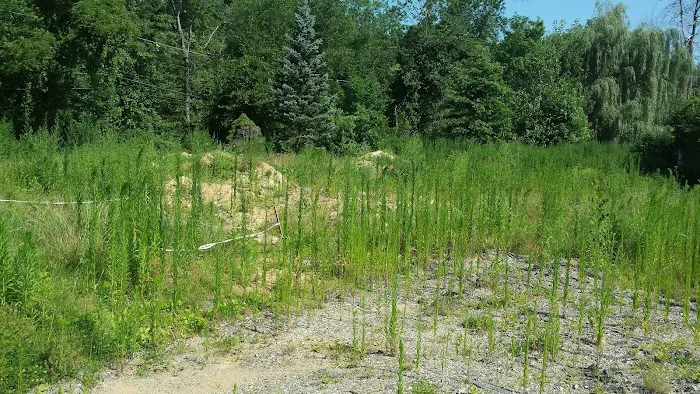Finn's Mobile Home Park & Sales Picture 8