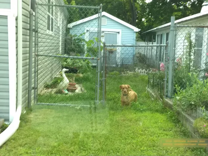 Finn's Mobile Home Park & Sales Picture 10