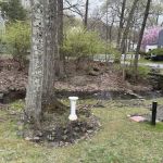 Waverly Park