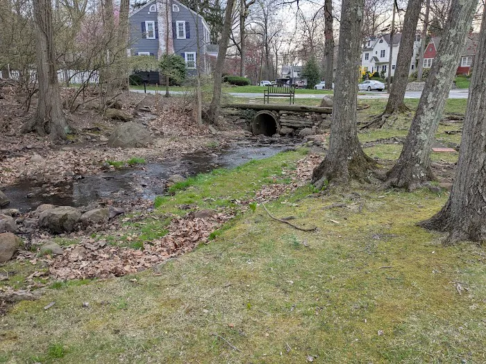 Waverly Park Picture 10