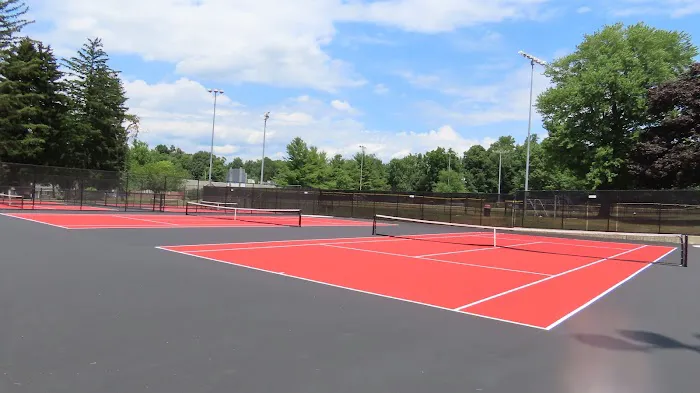 Harrison Complex Pickleball & Tennis Courts Picture 6