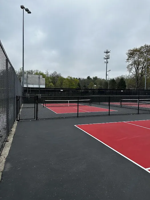 Harrison Complex Pickleball & Tennis Courts Picture 3