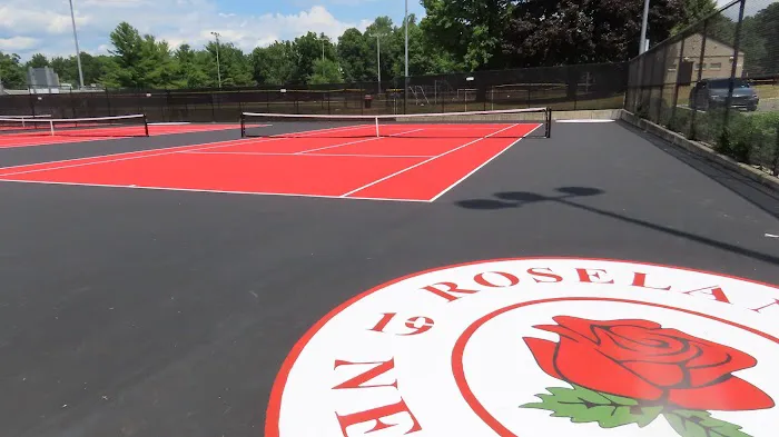 Harrison Complex Pickleball & Tennis Courts Picture 7
