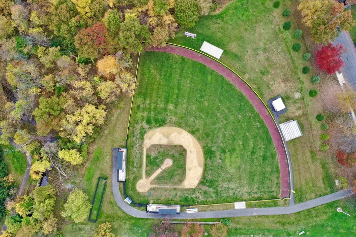Fernwood Field Picture 2