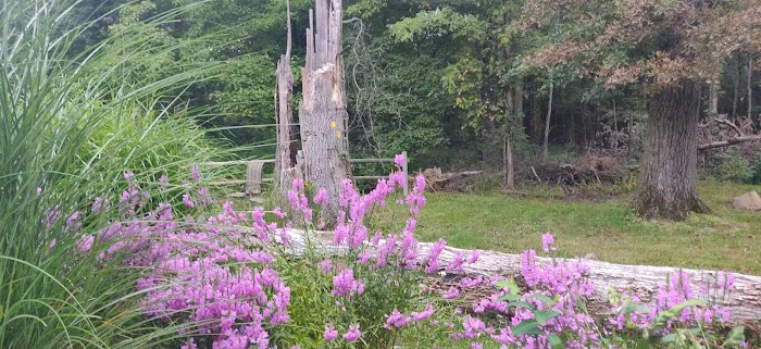 West Essex Park Conservancy Picture 3