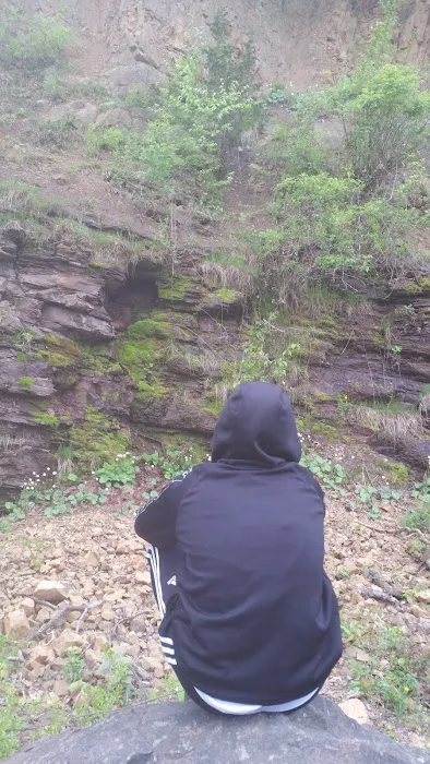 Riker Hill Fossil Site Picture 9