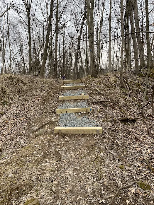 Riker Hill Fossil Site Picture 7