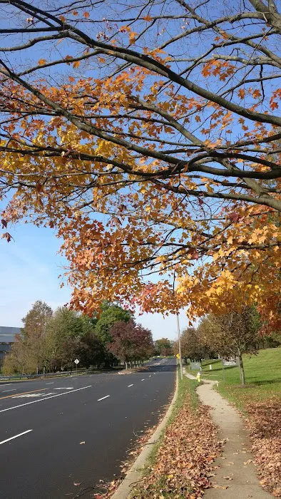 Becker Park Picture 5