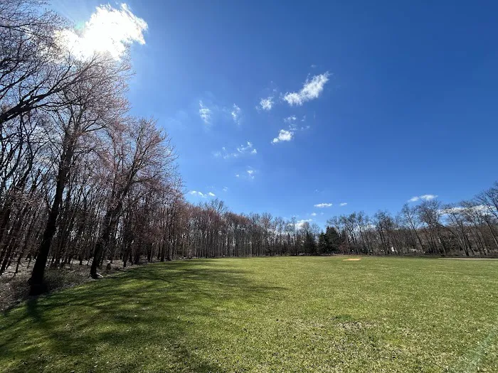 Lake Sidewalk - Parsippany Picture 7
