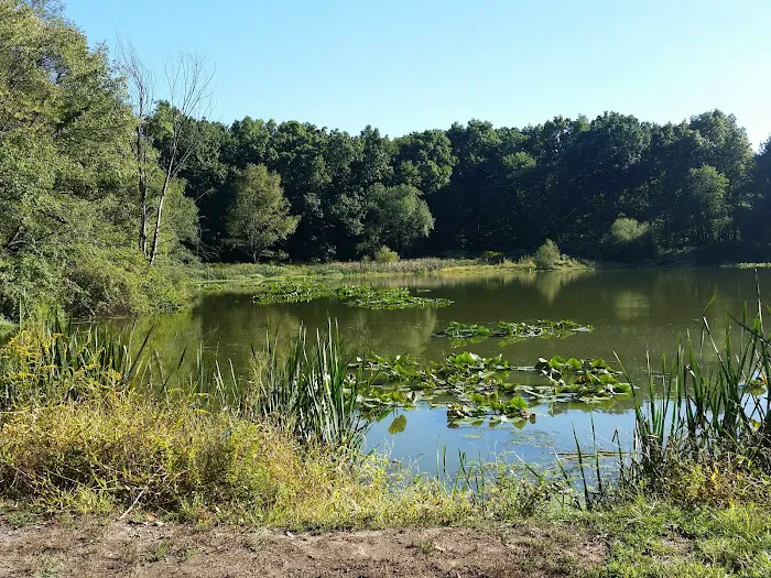 Lake Sidewalk - Parsippany Picture 2