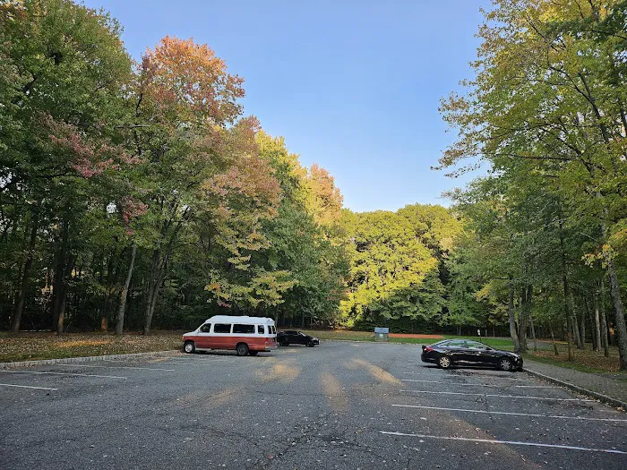 Lake Sidewalk - Parsippany Picture 8