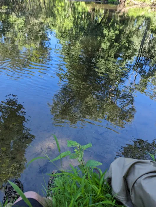 Ramapo River Access - Glen Gray Road Picture 4
