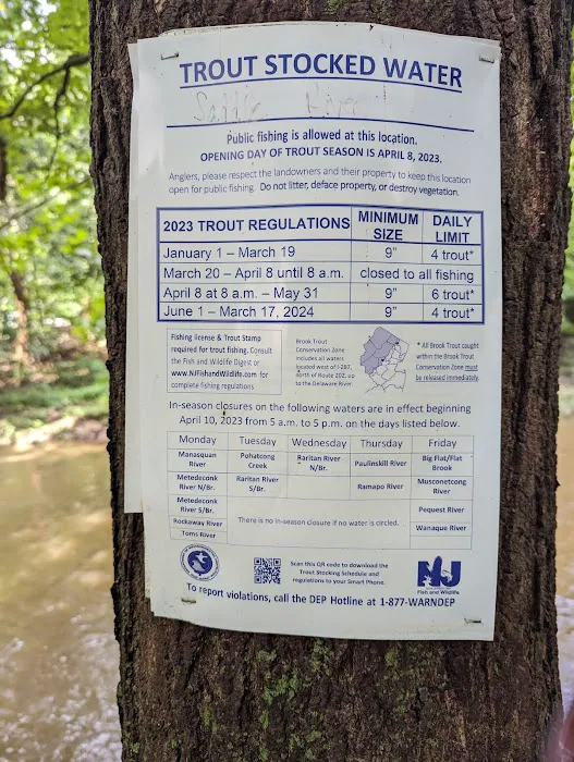 Ramapo River Access - Glen Gray Road Picture 3