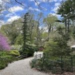 Laurelwood Arboretum