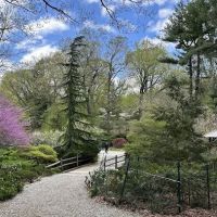 Laurelwood Arboretum ico