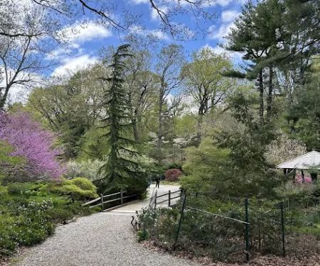 Laurelwood Arboretum
