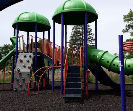Wayne Friends & Family Park
