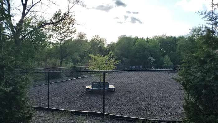 Oakland Dog Park Picture 4