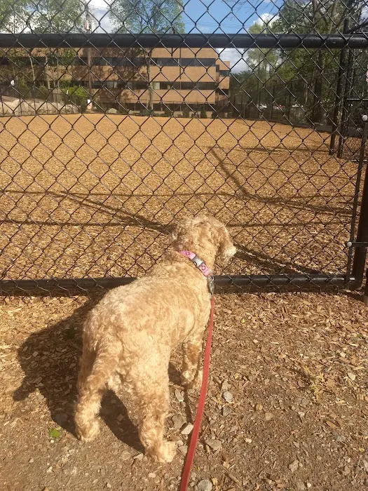 Oakland Dog Park Picture 6